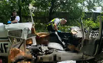 צילום: זק"א יואב, אלעד ודוד נהרגו בהתרסקות בארה"ב