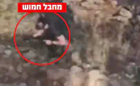 דובר צה"ל ЦАХАЛ атаковал террористическую ячейку на юге Ливана