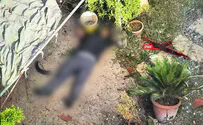Two terrorists eliminated in Lebanon