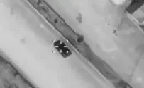 IDF eliminates two Hamas commanders in Gaza