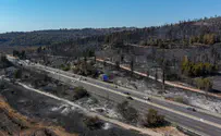 Shlomi Amsalem, KKL-JNF KKL-JNF approves wildfire preparedness program in central Israel