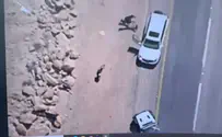 Undercover officers arrest weapons smugglers in the Negev