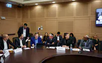 צילום: נועם מושקוביץ, דוברות הכנסת צעקות בוועדה: החוק אושר