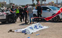 צילום: Yossi Aloni/Flash90 חוסל מחבל שניסה לדקור לוחם יס"מ בלוד