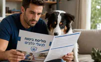 Beit Haklavim Beit Haklavim Offers a Dog Health Insurance Comparison
