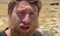 צילום: ללא קרדיט «Это - практичное вложение»