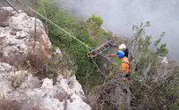 Driver survives 15-meter plunge from cliff in Carmel Park