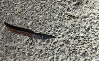 Israel Police spokesperson Border Police neutralize terrorist at Rachel Crossing