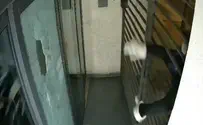 Watch: Vandal smashes Haaretz door
