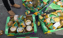 Land Crossings Authority, Israeli Ministry of Defense COGAT thwarts attempt to smuggle cigarettes in pineapples