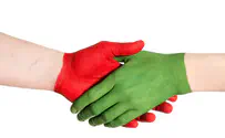 Dreamstime purchased by Amanda Chaitt The hidden and real source of “White Guilt"
