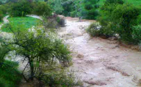 צילום: רשות הכנרת איך הפך נחל צלמון מנחל אכזב למלא במים?