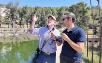 Courtesy Waters of Jerusalem Temple Discovered