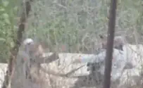 צילום: ללא קרדיט Terrorist snatches security officer's weapon before deadly attack