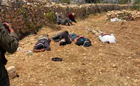צילום: דוברות המשטרה שבעה פלסטינים נעצרו בחשד לתקיפת ישראלי