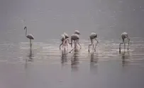 Despite the heat, signs of autumn at Hula Lake Park