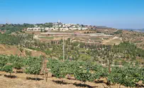 מה הסיפור הזה על טיולים בתוך כפרים ערבים?