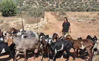 המבצר החשמונאי שהפך למטווח מחבלים