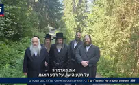 לא רק חסידים: כך הפך הנופש של גדולי האדמו"רים והרבנים לאירוע שמסעיר את הרחוב החרדי
