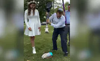 צילום: ללא קרדיט An unorthodox way to break the glass at a wedding