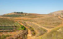 צילום: שגיב כהן תחום השיפוט של גבעת הראל אושר באופן רשמי