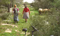 The parable that revolutionised the month of Elul