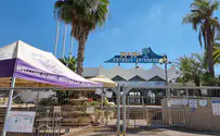 קטטה המונית בימית 2000
