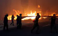 ישראלי נעצר ביוון: עשה מנגל וגרם לשריפה
