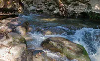 Unusual pollution in northern streams