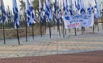 Vandals tore down Israeli flags, activists returned with 50 more
