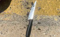 Stabbing attack foiled, pregnant terrorist arrested