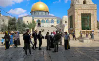 Shin Bet foils ISIS plot targeting Temple Mount, IDF base