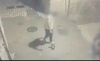 Police spokesperson Cameras capture 15-year-old kicking kitten