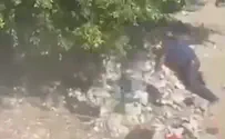Al Jazeera footage of Hamas security chief shot before capture
