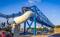 צילום: Yossi Aloni/Flash90 משבר האצות: משרד הבריאות מזהיר
