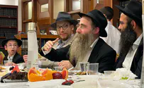 צילום: שייע דייטש רגעי השבוע - פרשיות נצבים וילך