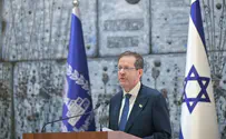 Kobi Gideon/GPO Herzog urges Britain to back down