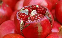 The fruit that never falls alone