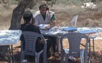 צילום: ללא פונו מחומש - והמשיכו ללמוד בין העצים