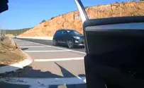 צילום: דוברות המשטרה טס על הכביש - והינשוף הדהים את השוטרים