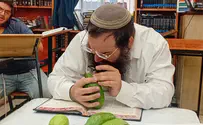 גלרייה: כך בוחרים רבני הציונות הדתית את ארבעת המינים המהודרים
