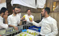 האתרוגים, המחירים והשיר של אהרן רזאל