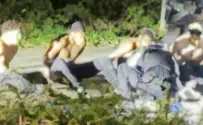 החקלאית שהקפיצה את בריטניה