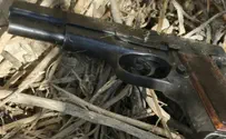 Police dog finds hidden gun near Arab city