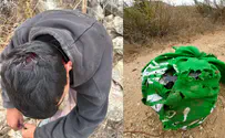 Arab olive harvesters injure Israeli, attempt to steal weapon