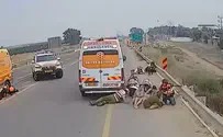 The volunteers who returned to hell