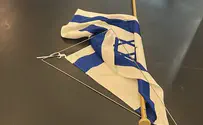 Screenshot MEP removes Israeli flag at 10/7 memorial in European Parliament