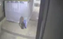 צילום: דוברות המשטרה הצהרת תובע נגד מצית סוכה בירושלים