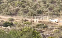 צילום: ללא IDF allows olive harvest near site of Fogel massacre