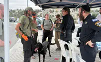IDU Special search effort for man missing near Jerusalem